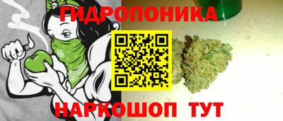 прущие грибы Краснознаменск